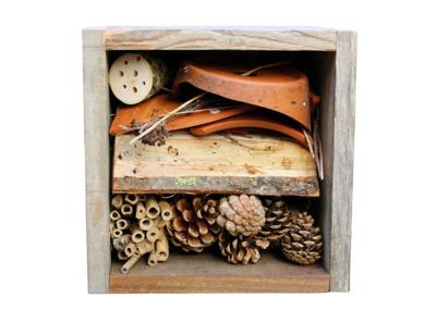 Bekender Met Klimaat Diy insectenhotel - 30 x 30 x 15cm Bekender Met Klimaat Diy insectenhotel - 30 x 30 x 15cm