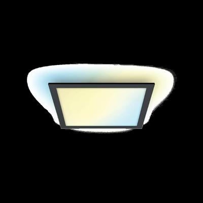 WiZ PlafonnièrePanel zwart - 12W - 929003241922