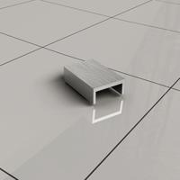 Wiesbaden Afdekkapje Slim tbv Muurprofiel RVS - thumbnail