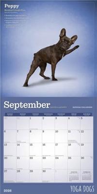 Yoga Dogs Kalender 2026