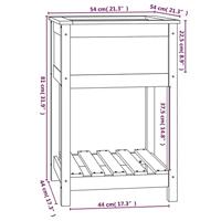 Plantenbak met schap 54x54x81 cm grenenhout honingbruin - thumbnail