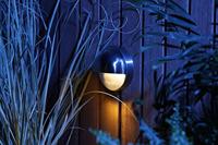 GardenLights Ronde downlighterPalm 12V - 2585061 - thumbnail