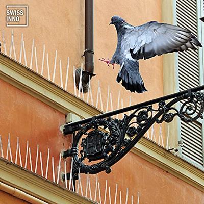 Swissinno Natural Control Birds Away Spikes tegen duiven Functies Afschrikking 300 cm