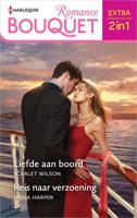 Liefde aan boord / Reis naar verzoening - Scarlet Wilson, Fiona Harper - ebook - thumbnail