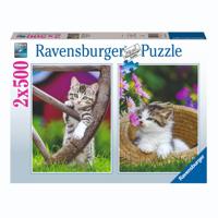 Ravensburger 2in1 Puzzel Poezen 2x500 Stukjes - thumbnail