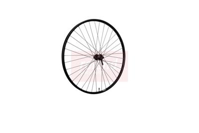 Roland voorwiel 28" ryde rival21 hbm5100
