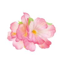 Boland Haaraccessoire Hawaii Hibiscus Dames 12 Cm Polyester Roze - thumbnail