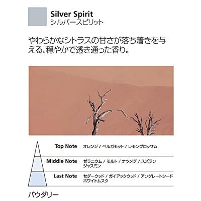 Millefiori Milano Icon Car Refill Silver Spirit