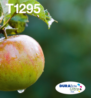 Epson C13T12954511 Zwart, Cyaan, Geel inktcartridge - thumbnail