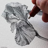 Rotring college set van 9 Isograph 0,25 mm/ 0,35 mm/ 0,5 mm - thumbnail