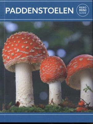Paddenstoelen - Rebo mini guide (Paperback)