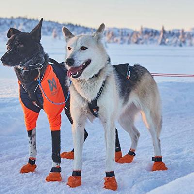 Non-stop dogwear® Trektuig Nansen Nome Harness 5.0, zwart, Maat: 9