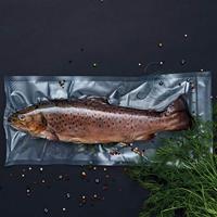 Wilfa 603988 VS-0824S Vacumeermachine - thumbnail