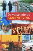 De versplinterde samenleving - Jan Berting - ebook - thumbnail