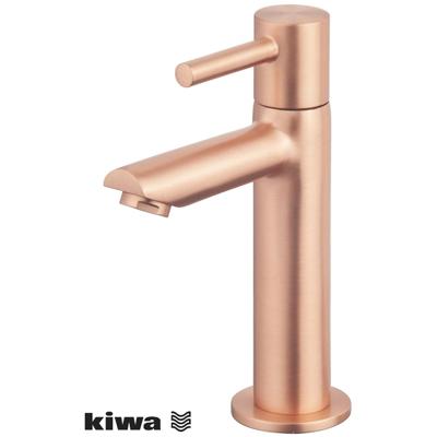 Wiesbaden Amador Fonteinkraan - Toiletkraan - Koudwaterkraan - XL - Kiwa - 1/2 - Geborsteld Koper