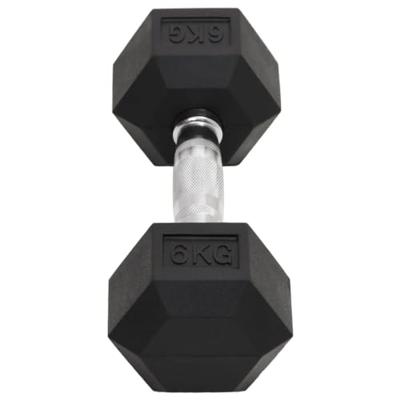 VidaXL Halters 2 st 12 kg totaal gietijzer VidaXL Halters 2 st 12 kg totaal gietijzer