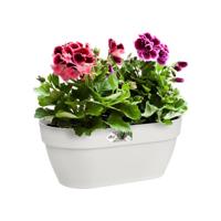 Elho Vibia Campana wall basket wandbak 35 cm zijdewit - thumbnail