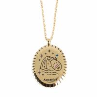 Stalen Horoscoop Hanger Waterman Goudkleurig Ovaal (20 mm) - thumbnail