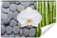 Fotobehang - Bamboe, Orchidee en stenen, Spa, Inspiratie, in 11 maten, inclusief behanglijm - thumbnail