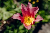 Tamron 20-40mm F/2.8 Di III VXD Sony FE - thumbnail