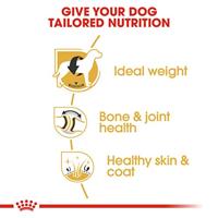 Royal Canin Dog Labrador Retriever Adult Dry 12kg - thumbnail