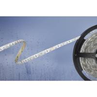 Barthelme 51540831 51540831 LED-strip Met open kabeleinde 24 V 5 m RGB 1 stuk(s) - thumbnail