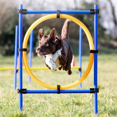 TRIXIE DOG ACTIVITY AGILITY RING BLAUW / ORANJE 65X3X115 CM