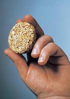 Bradley Wiskey Oak Wood Briketten rookhout - thumbnail