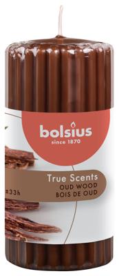Bolsius True Scents stompkaars geur 120/58 old wood 1 Stuks