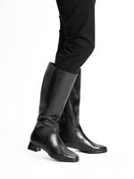 Ara 1220014 - alle - thumbnail