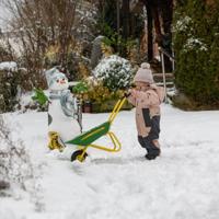 Rolly Toys Kruiwagen John Deere (voor kinderen) - thumbnail