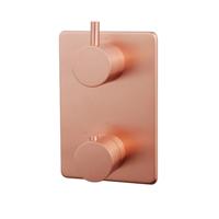 Caral afbouwdeel inbouwthermostaat 2 weg geborsteld koper - thumbnail