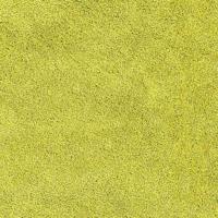 Antislip Badmat Groen 50 x 80 cm PP - thumbnail