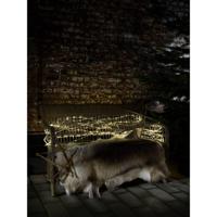 LED Mini lichtslang 2 meter 260 LED, warmwit 3.6W 5mm doorsnede 3090-100 met transformator - thumbnail