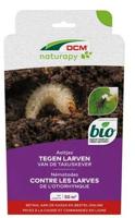 Aaltjes tegen larven van de taxuskever 50 m2 DCM Natuurlijke Vijanden - Dcm natuurlijke vijanden - thumbnail