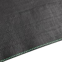 Worteldoek 2x100 m polypropeen zwart - thumbnail