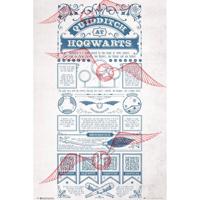 Poster Harry Potter - Quidditch at Hogwarts 61x91,5cm - thumbnail
