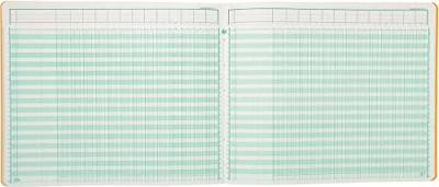 Exacompta registers, ft 27 x 32 cm, 13 kolommen op 1 bladzijde, 31 lijnen, 80 bladzijden Exacompta registers, ft 27 x 32 cm, 13 kolommen op 1 bladzijde, 31 lijnen, 80 bladzijden