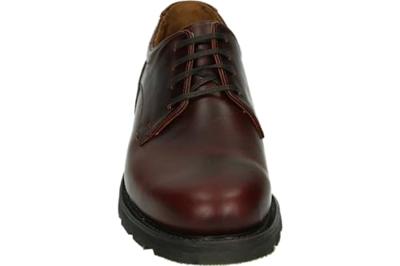 Van Bommel SINGLA 01.02 - alle