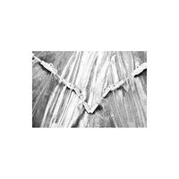 Linkstar opvouwbare octabox qsob-8 80 cm - thumbnail