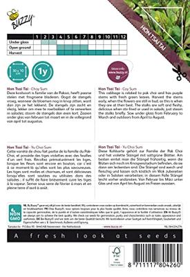 Xotica Purple Choy Sum Hon Tsai Tai zaden Buzzy - Buzzy