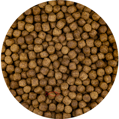 Vivani Top Growth 6mm Koivoer - Eiwitrijk & Kleurversterkend - 6 Kilo Zak