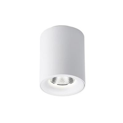 BWS Tube Opbouw Spot Incl. LED Lichtbron Mat Wit BWS Tube Opbouw Spot Incl. LED Lichtbron Mat Wit