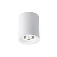 BWS Tube Opbouw Spot Incl. LED Lichtbron Mat Wit - thumbnail