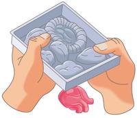 CLEMENTONI Mini Anatomie Lab - thumbnail