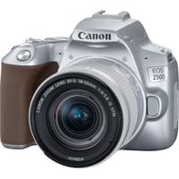 Canon EOS 250D SL 18-55 X CUP - thumbnail