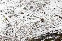 BeamZ SNOW5000 professionele sneeuwmachine - thumbnail