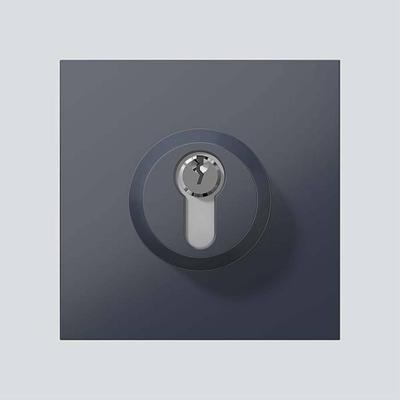 Siedle 210004992-00 Functiemodule voor Accessoires voor deurintercom Antraciet