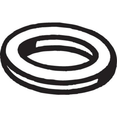 Afdichtring uitlaatpijp 256287