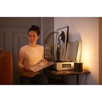 Philips Led Cl T32 Gld D 25w E27 - thumbnail